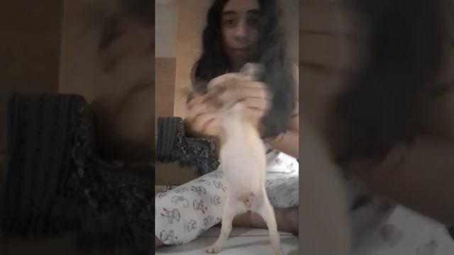 tentando me morde kkkk смотреть онлайн