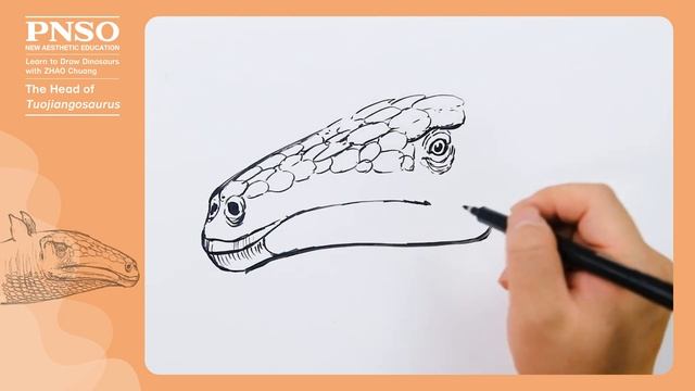 Qichuan the Tuojiangosaurus 1: The Head | Learn to Draw Dinosaurs with ZHAO Chuang смотреть онлайн