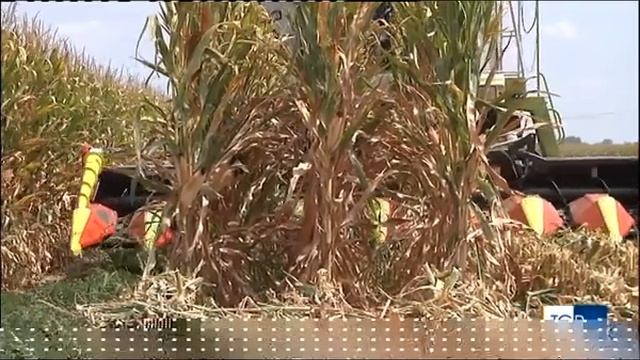 TgR Rai 3 - Conflitto Ucraina-Russia: è allarme per il caro prezzi in agricoltura смотреть онлайн