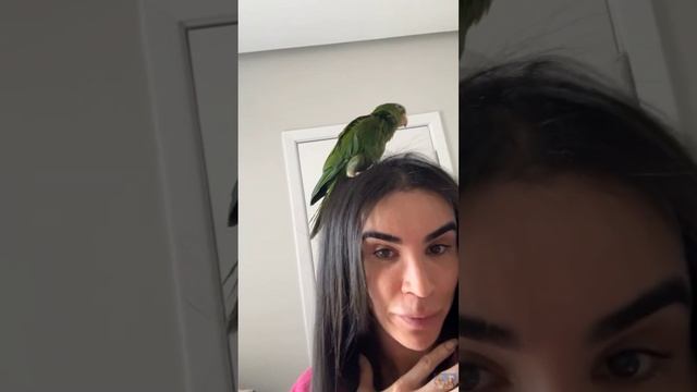 LUCAS COMPROU UMA MOTO • RAFA ENCONTRA UM PAPAGAIO NA SUA SACADA |STORIES RAFA UCCMAN смотреть онлайн