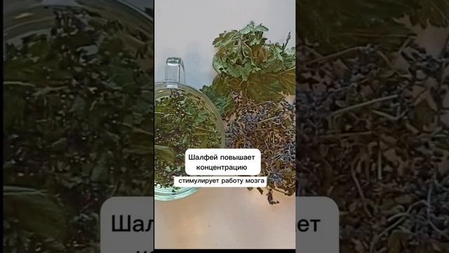 🌿🫖 Шалфей и листья смородины смотреть онлайн