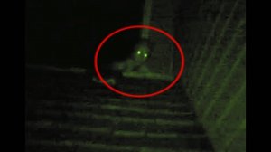 Загадочные сущности, фантомы, призраки, снятые на видео