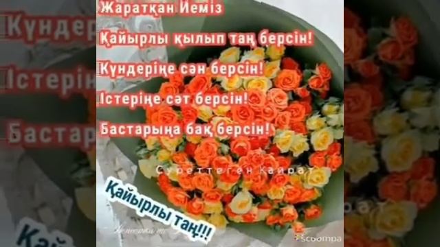 Қайырлы таң Жақсыларым!!! смотреть онлайн