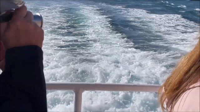 🇫🇷 Вокруг острова Бреа. Rund um Insel Brehat. смотреть онлайн