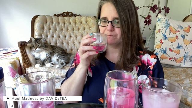 DAVIDsTEA Maui Madness - Review and Tasting (5 ways) смотреть онлайн