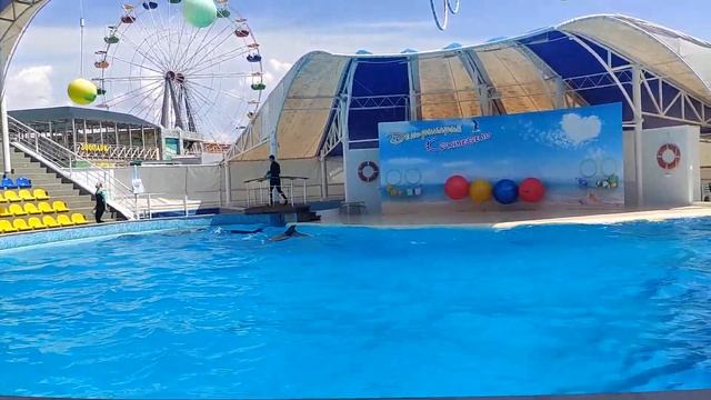Дельфинарий. г.Коктебель. 08.07.2021г. смотреть онлайн