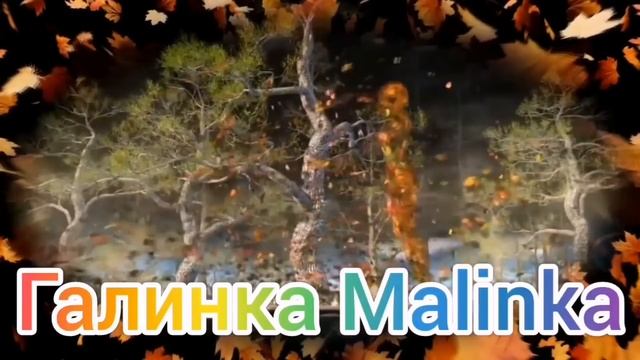 Ольга Уралочка live /Бабка напилась и вызвала Скорую /Обзор Влогов /Уралочка и Сафар / смотреть онлайн