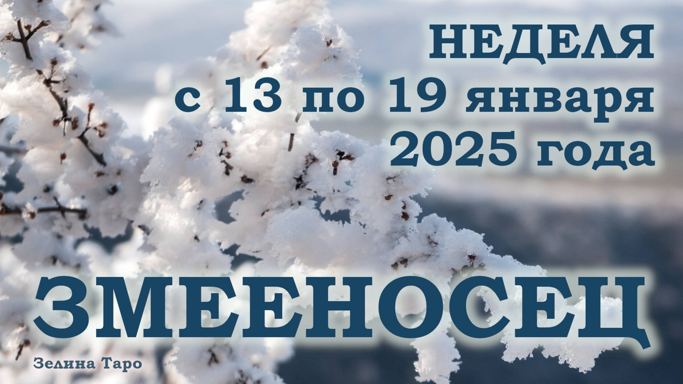 ЗМЕЕНОСЕЦ | ТАРО прогноз на неделю с 13 по 19 января 2025 года