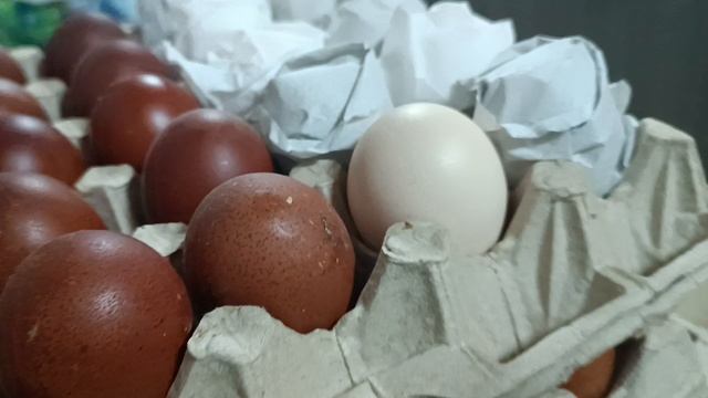 Новые Мараны