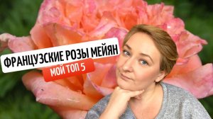 Топ 5 роз от французского питомника Мейян.