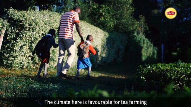 Stories from Kericho Part 1: Extended Version смотреть онлайн