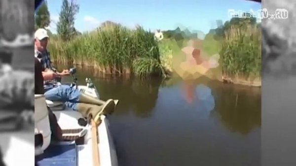 эксклюзивный +100500   Нервный Кот