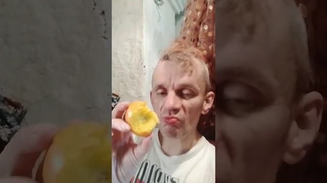 фрукт нектарин таджик дал #фрукты #нектарин #обжор #мукбанг смотреть онлайн