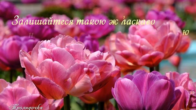 🌺 З 8 Березня! 🌺 Привітання з 8 Березня! 🌺 Зi Святом Весни! смотреть онлайн