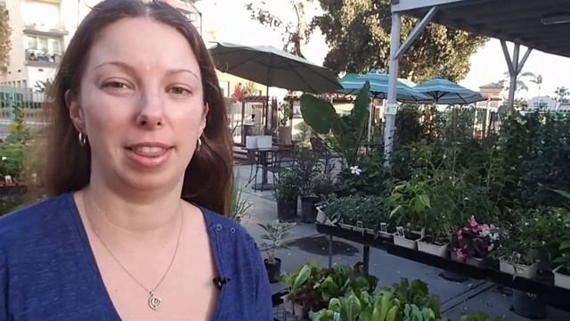 How to Slow the Aging Process | Anti-Aging Tips Series | Tip #2 смотреть онлайн