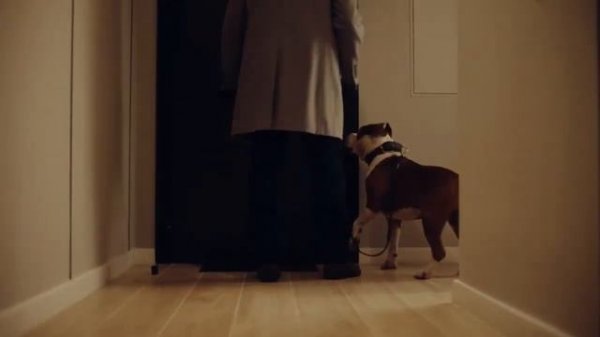 Реклама Брусника " С Новым годом! "