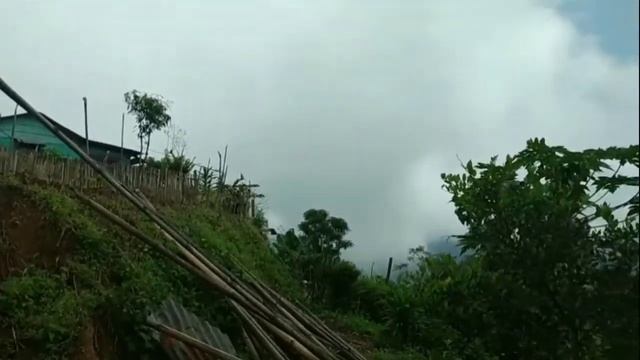 Butifull my village nagri farm tea estate смотреть онлайн