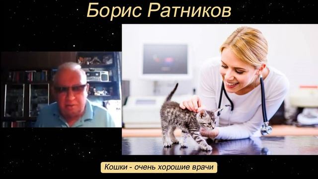 Борис Ратников - Кошки - очень хорошие врачи. смотреть онлайн