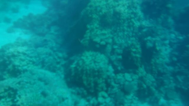 ✈️ 🏝️ Шарм- эль- шейх: самый правдивый отзыв. Часть 6. Пляж Фарша: коралловые рифы... смотреть онлайн