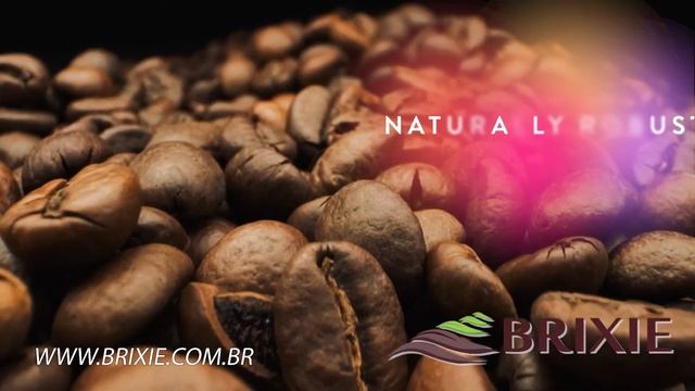 Brixie -Premium Coffee From Brazil -Hindi Language - Short смотреть онлайн