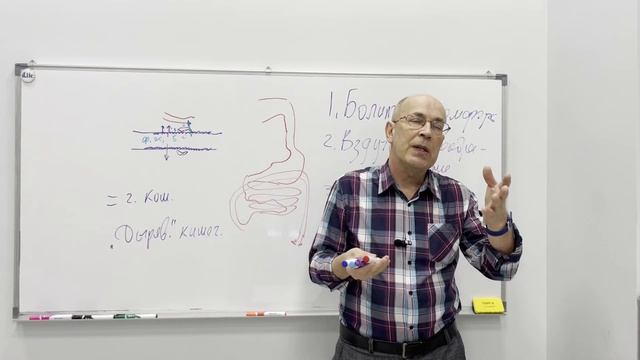 кишечник: мифы и традиции смотреть онлайн