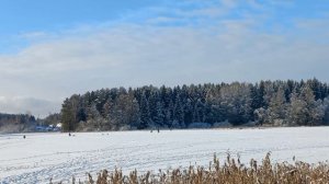 Зимний воскресный день. Песня Белая Зима в исполнении Игоря Кибирева