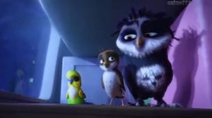 Трио в перьях...