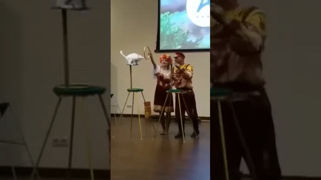 дрессированные животные в отеле Ареал смотреть онлайн