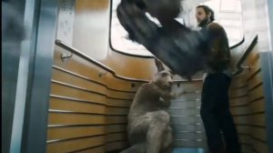 Фильм Осторожно Кенгуру