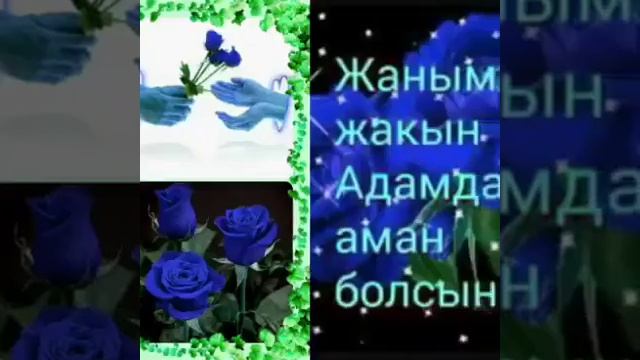Қайырлы таң бүкіліңе смотреть онлайн
