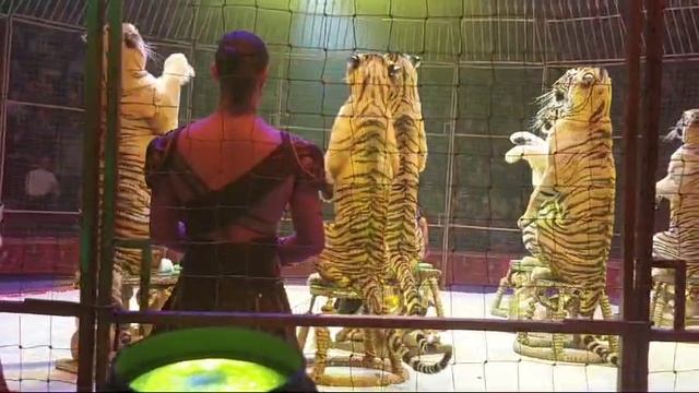 1000008646.mp4 смотреть онлайн