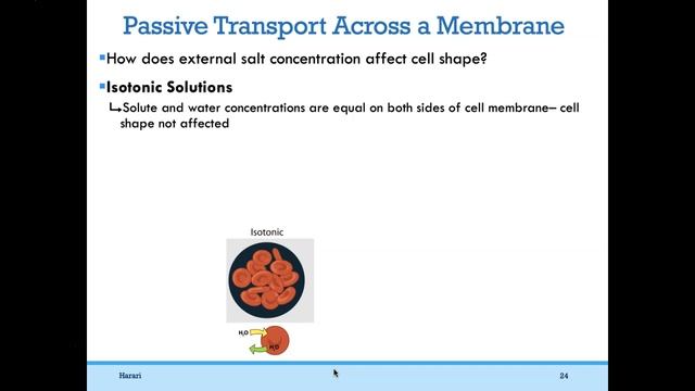BIO101 Online | Chapter 5: Membranes and Transport смотреть онлайн