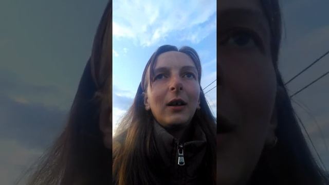 1день у лошади смотреть онлайн