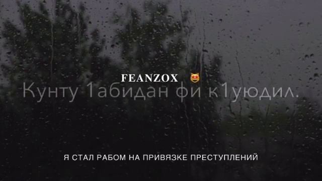 Кунту майтан-нашид смотреть онлайн