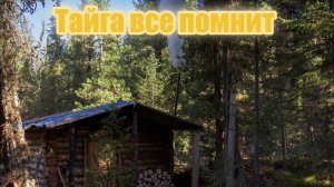 Тайга все помнит