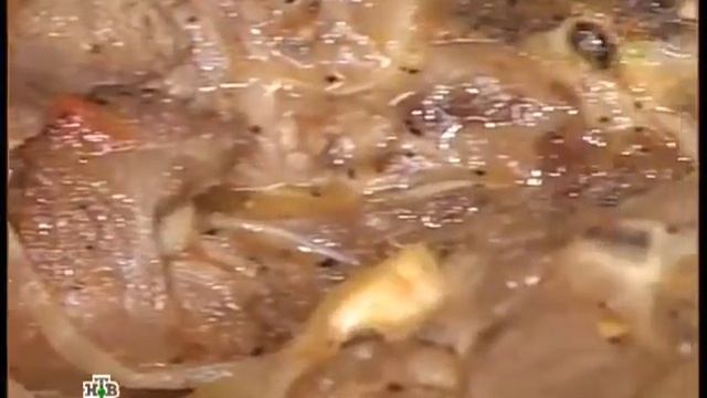 Сталик_ Думляма