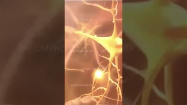 Хемохим Атоми бадысы смотреть онлайн