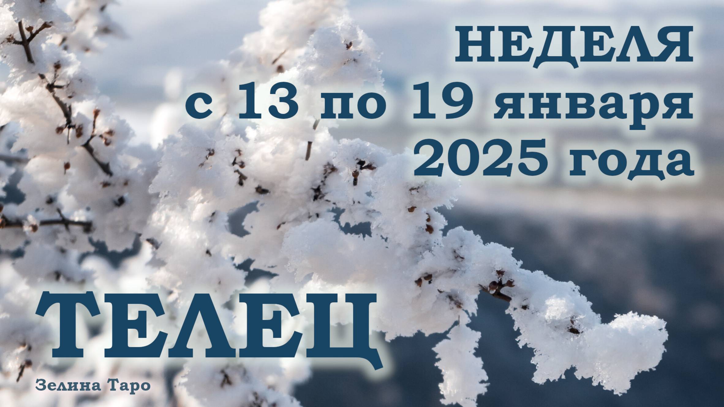 ТЕЛЕЦ | ТАРО прогноз на неделю с 13 по 19 января 2025 года