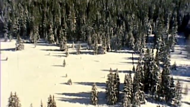 Backcountry Skiing Telemarking Into The 80s