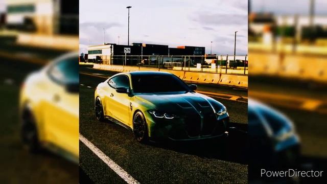 84,LOOKBUFFALO- CHOCO PLAN