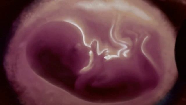 X-Files | Season 8A Opening Credits | FOX смотреть онлайн