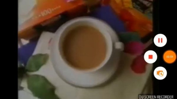 Lipton Logo History (1980-2018)