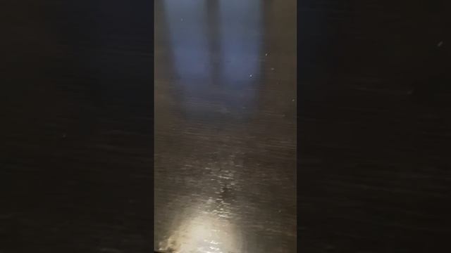 сегодня мы попьём черный квас смотреть онлайн