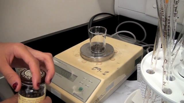 Chemistry Project: Pesticides смотреть онлайн