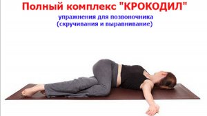 Полный комплекс КРОКОДИЛ