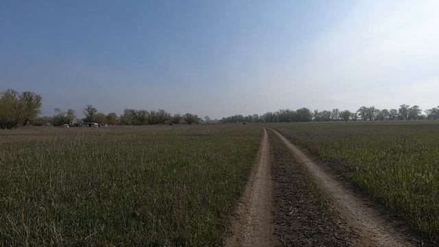 Ловля воблы р. Алча 15.04.2022 смотреть онлайн