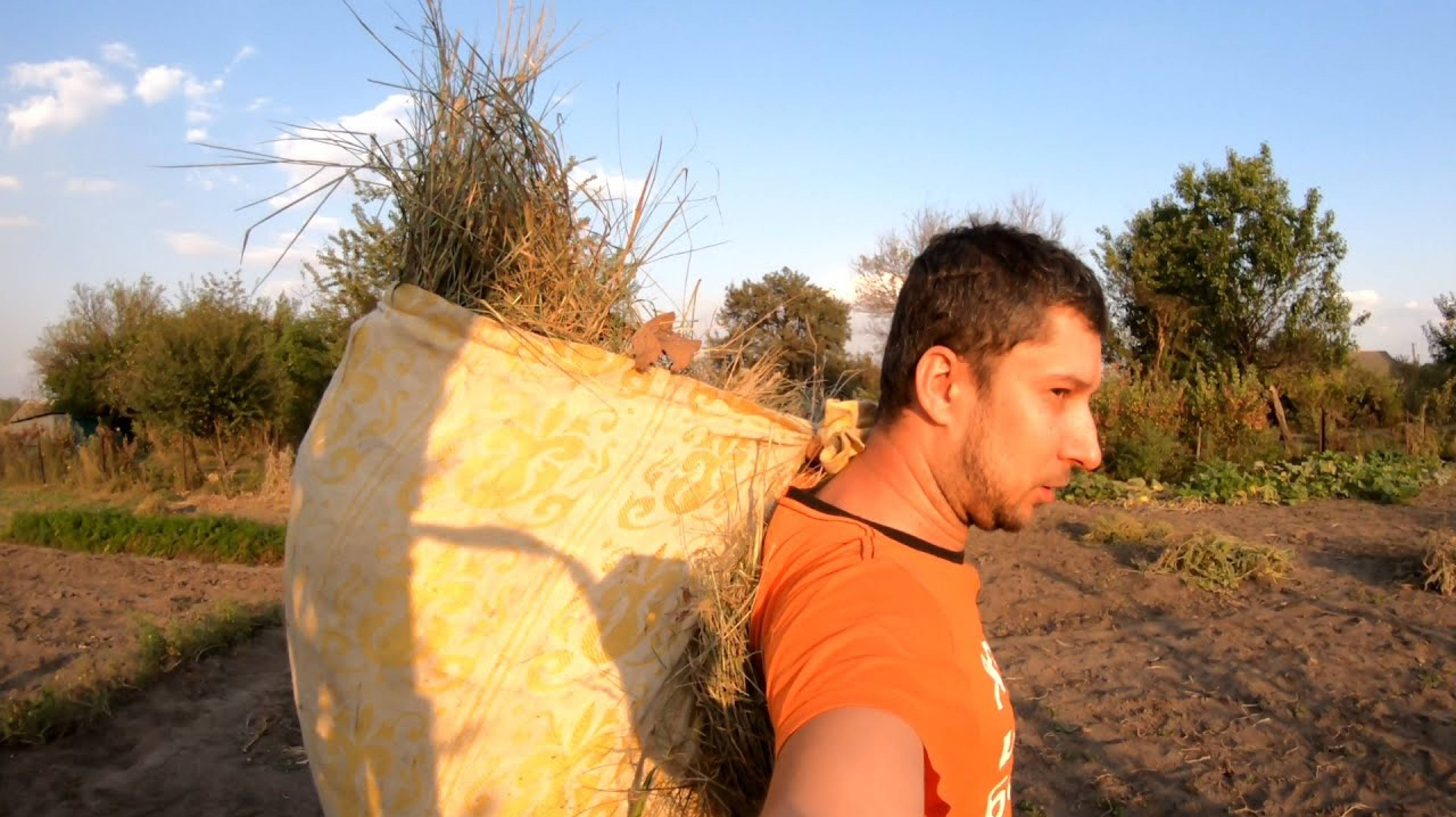 Переношу луговое сено в сенник тряпкой 👨🌾 сено на корм для коровы 🐮 Жизнь в деревне смотреть онлайн