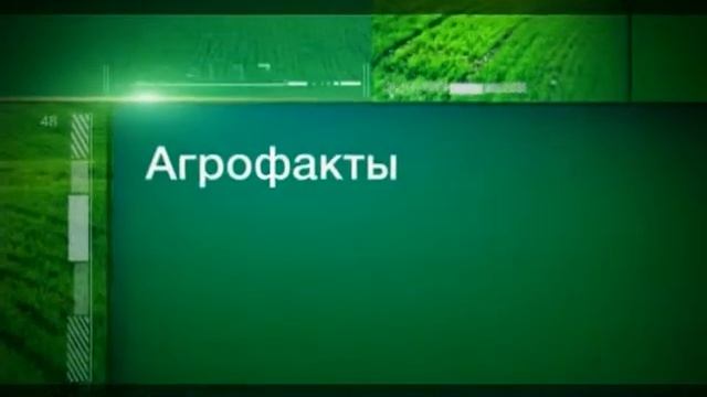 Вести. Агробизнес от 2 марта 2013 года смотреть онлайн