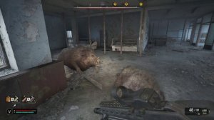 Припять. Столовая Зустрич. Тайник с чертежом