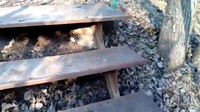 Родник в лесу! смотреть онлайн